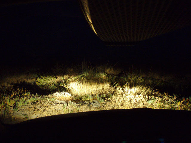 SESSION : night corsican ride?