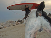 INFO : attaque de chien !!!