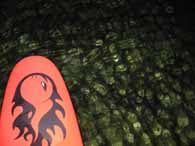 SESSION : night SUP cruising & party