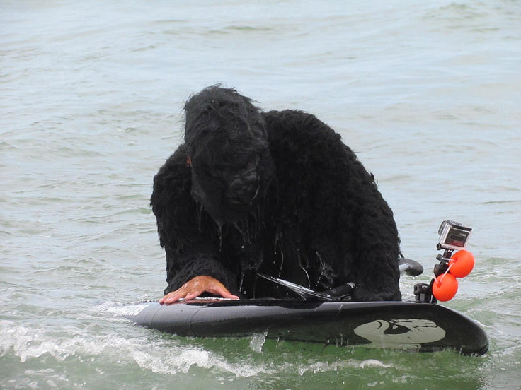 PHOTO : king SUP kong !!!