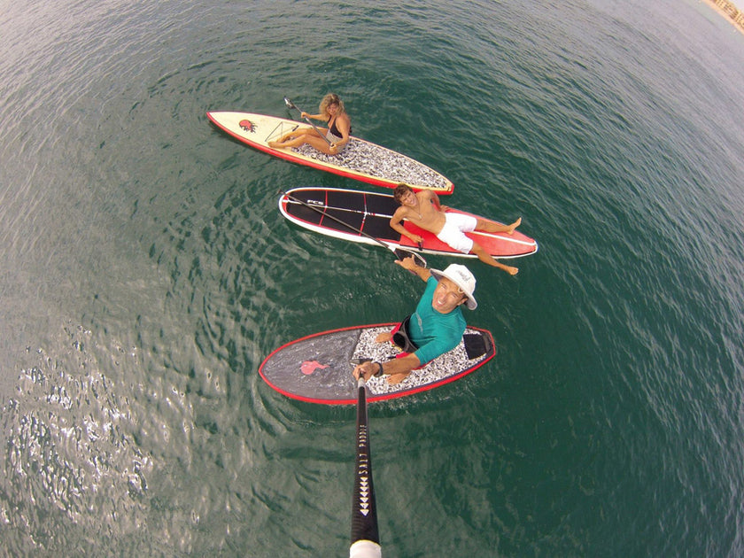 PHOTO : family cruising !!!