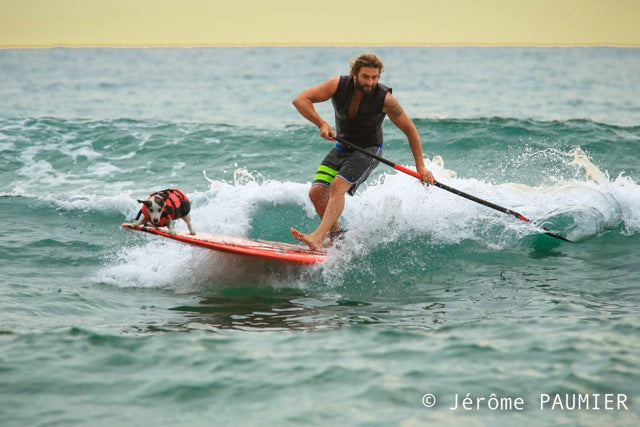 PHOTO : SUP chien !!!