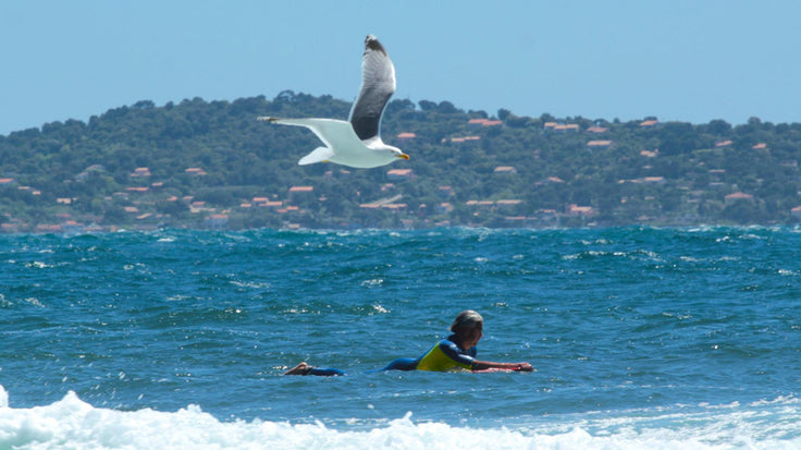 PHOTO : Bo en 5'6 Matata !!!