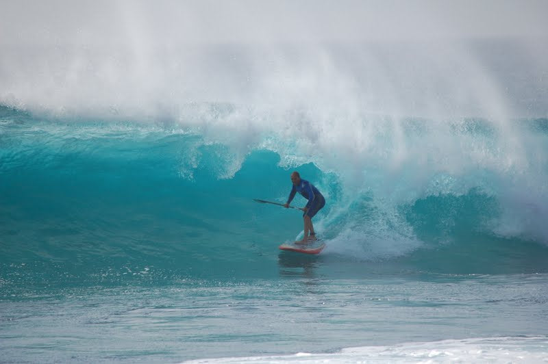 PHOTO : Mika à l'ombre !!!