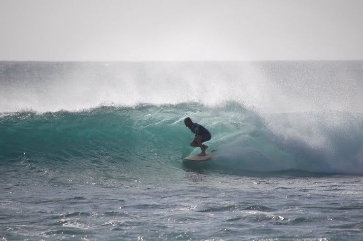 PHOTO : Mika à l'ombre !!!