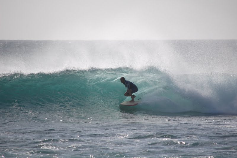 PHOTO : Mika à l'ombre !!!