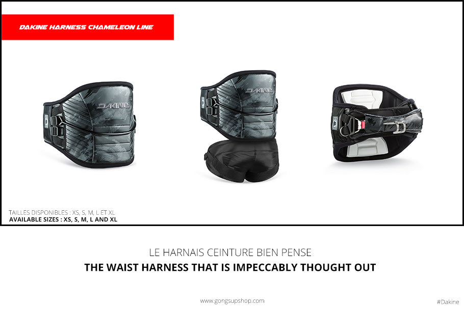 GEAR : Dakine Chameleon harness !!!