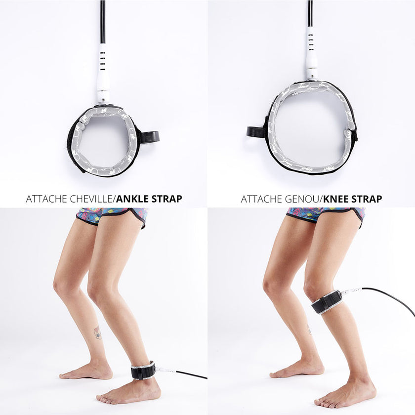HOW TO : choose your leash !!!