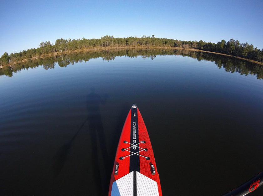 GEAR : focus on Couine Marie Race !!!