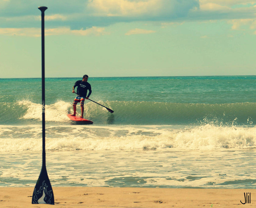 PHOTO : totem !!!