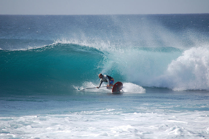PHOTO : lively board !!!