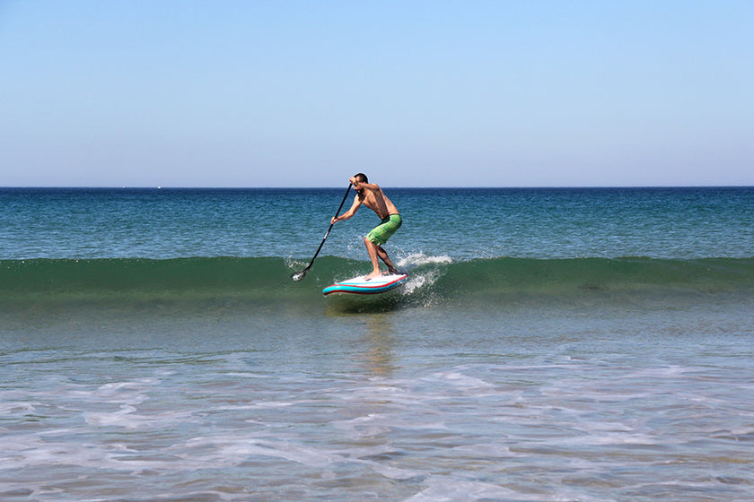 PHOTO : Chip surfing !!!