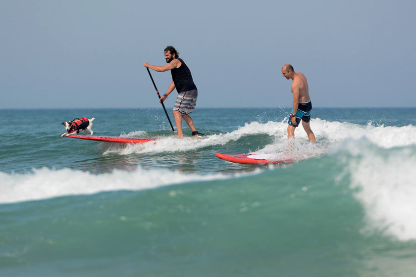 PHOTOS : share your wave !!!