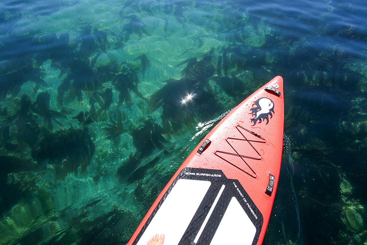 PHOTO : cruising !!!