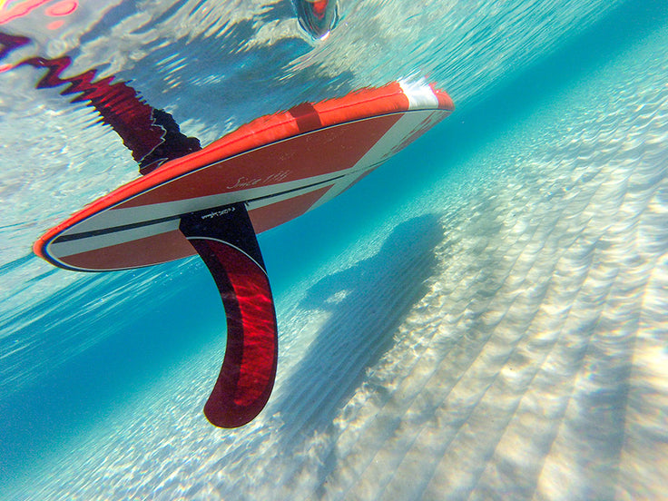 PHOTO : paradise !!!
