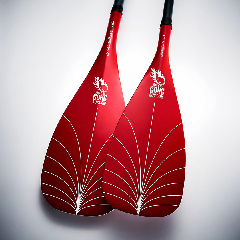 GEAR : 20% Carbon paddles !!!