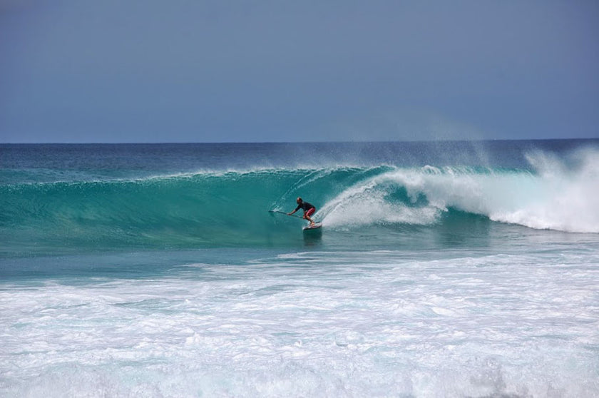 PHOTO : alone !!!