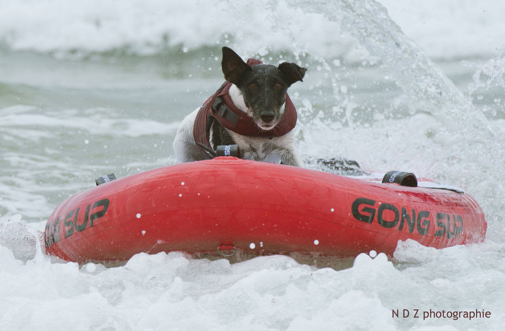 PHOTO : doggy style !!!