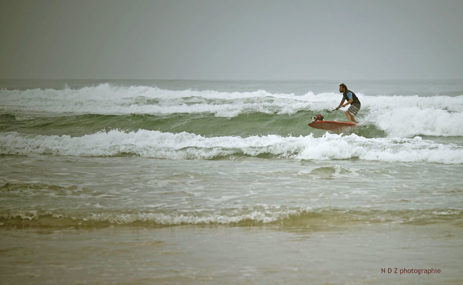 EVENT : toutous surfeurs !!!