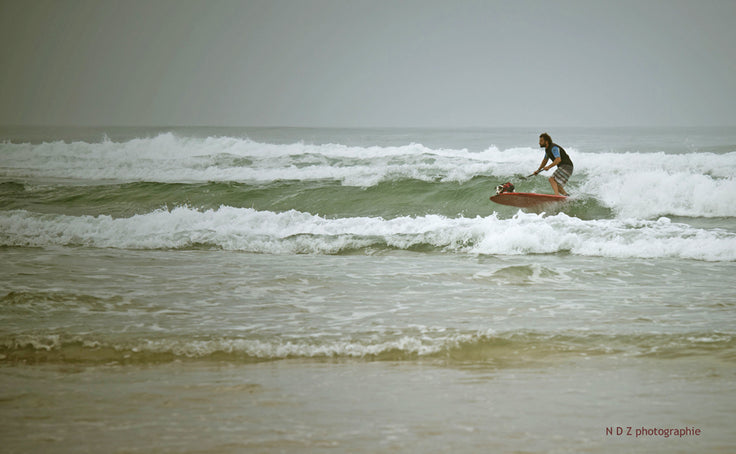 EVENT : toutous surfeurs !!!