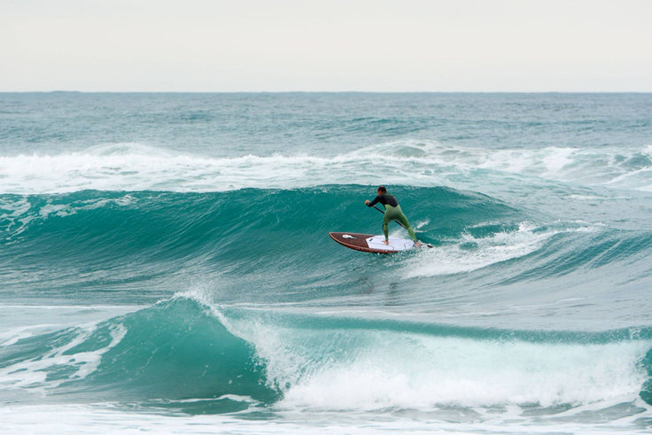 PHOTO : looking for speed !!!