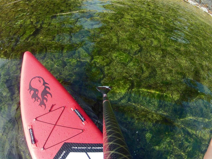 PHOTOS : cruising in the green !!!