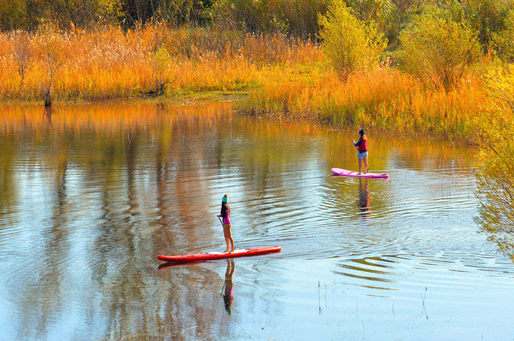 PHOTO : beautiful colors !!!