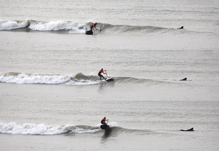 PHOTO : nice move !!!