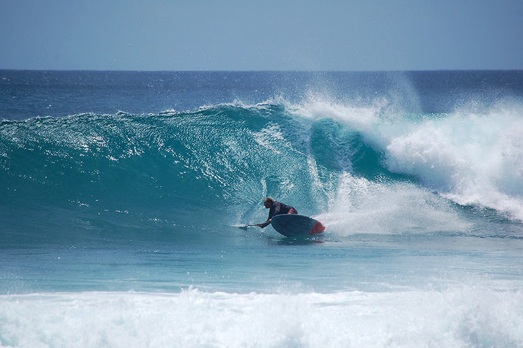 PHOTO : fins out !!!