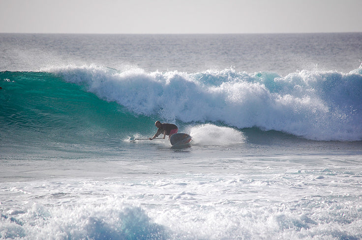 PHOTO : fins out !!!