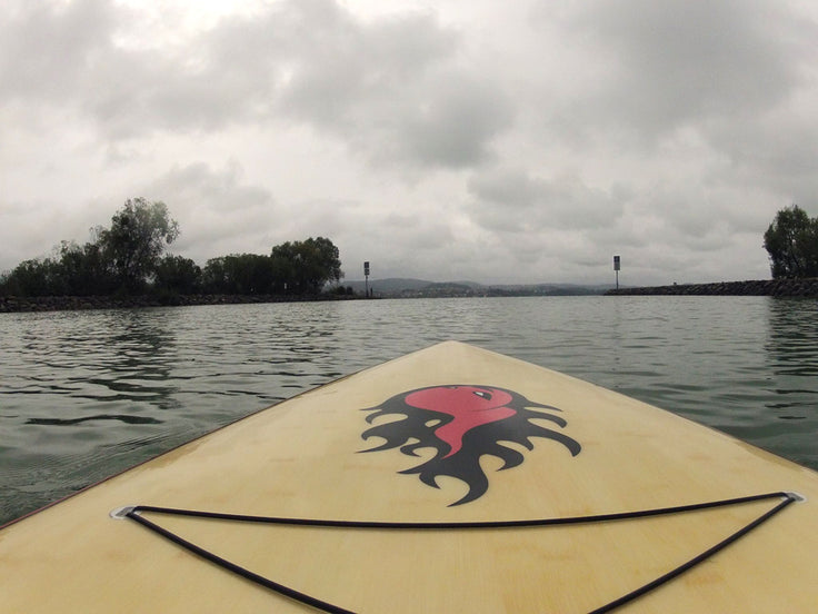 PHOTOS : cruising !!!