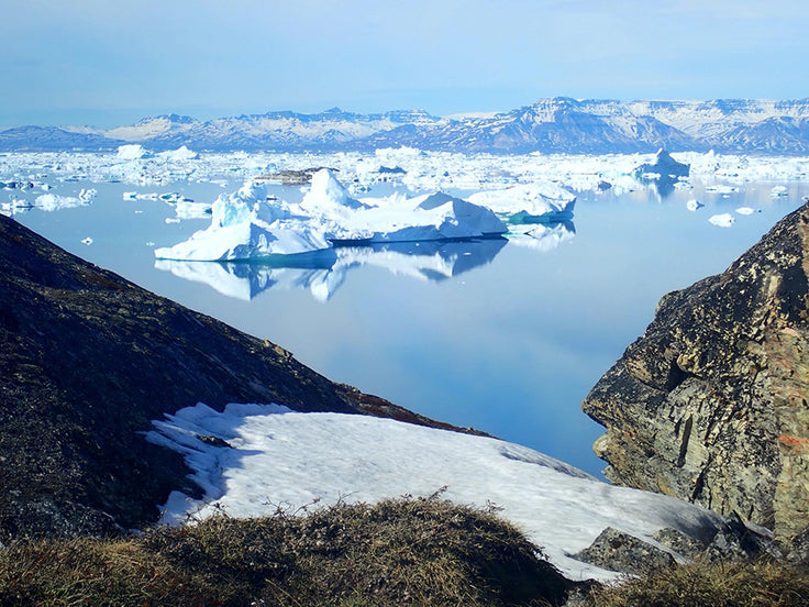 TEAM : Ingrid in Greenland !!!