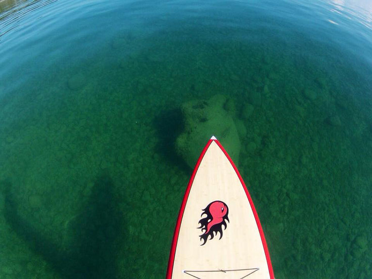 PHOTOS : cruising !!!