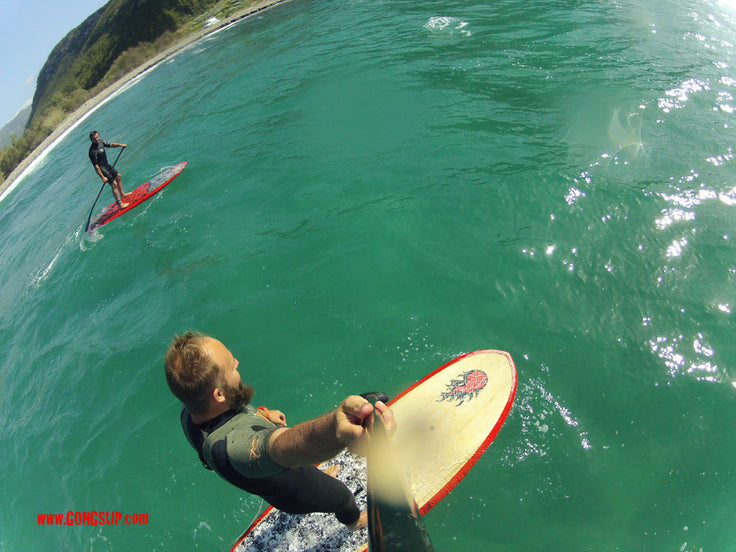 SESSION : choppy choppy !!!