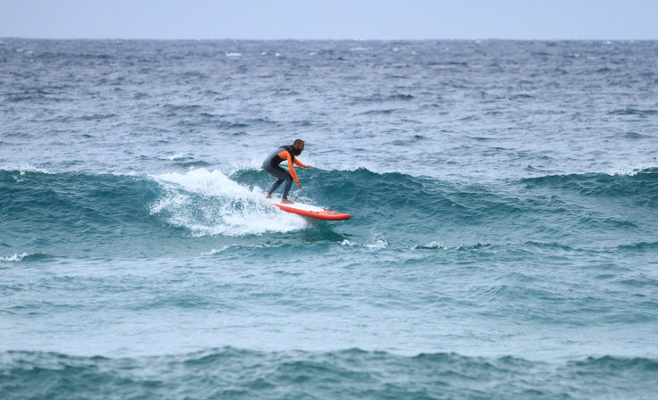 Isurf 9'5 CM