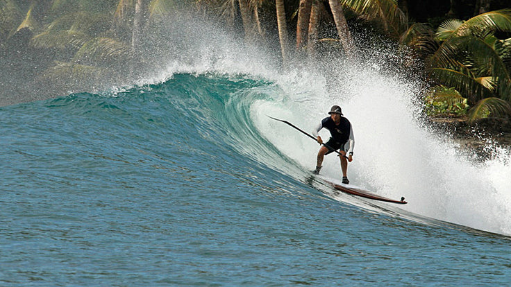 SESSION : curve and palms !!!