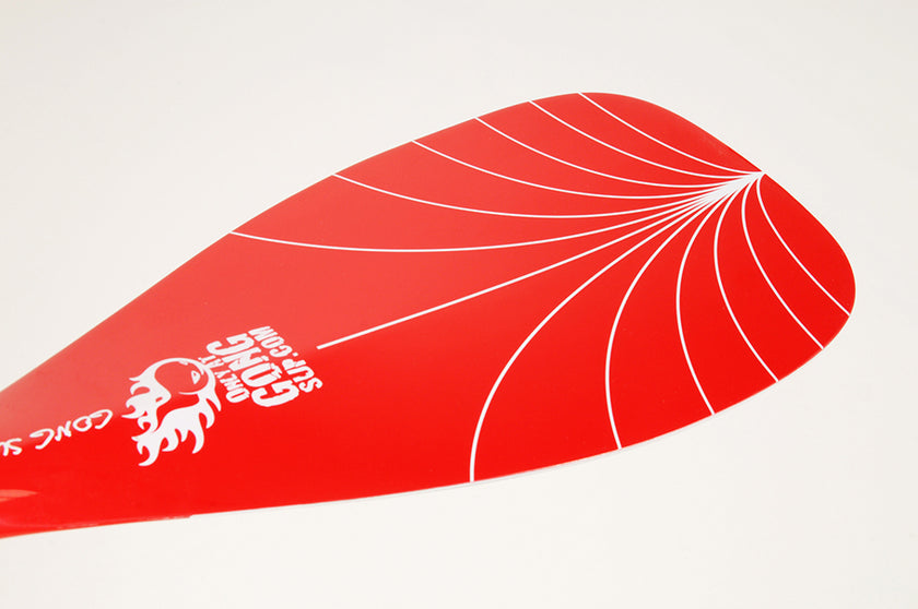 GEAR : Carbon 20% S paddle !!!