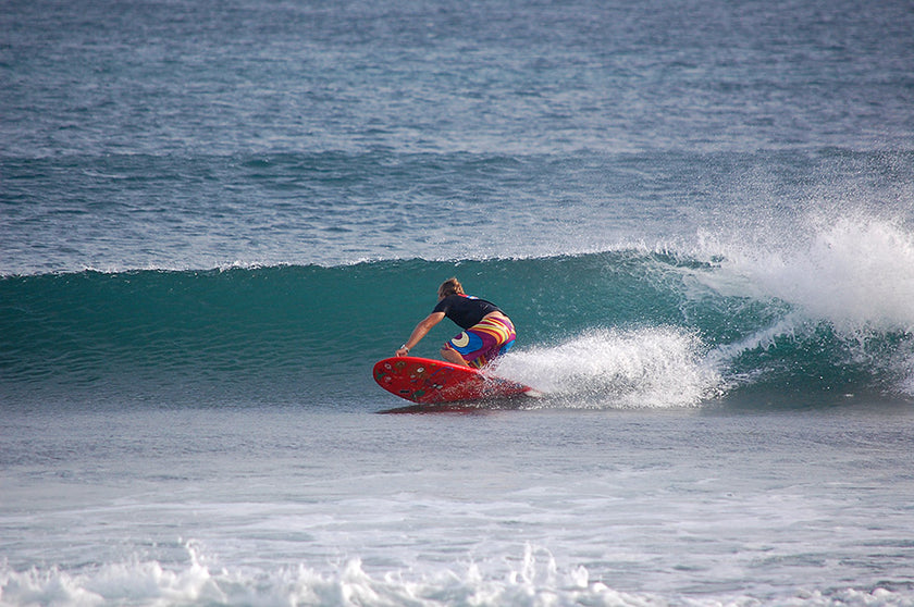 PHOTO : bottom !!!