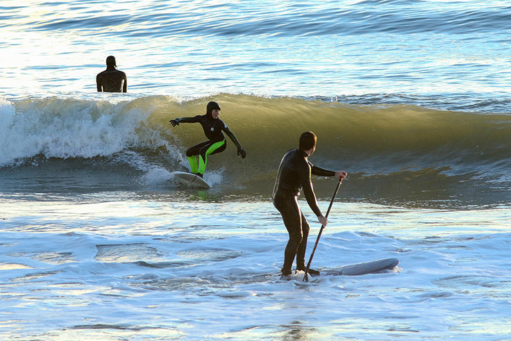 PHOTO : focused !!!