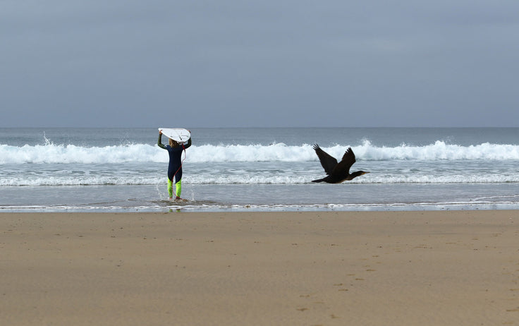 Sea, sun and surfing