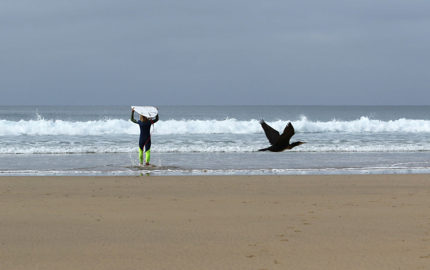 Sea, sun and surfing
