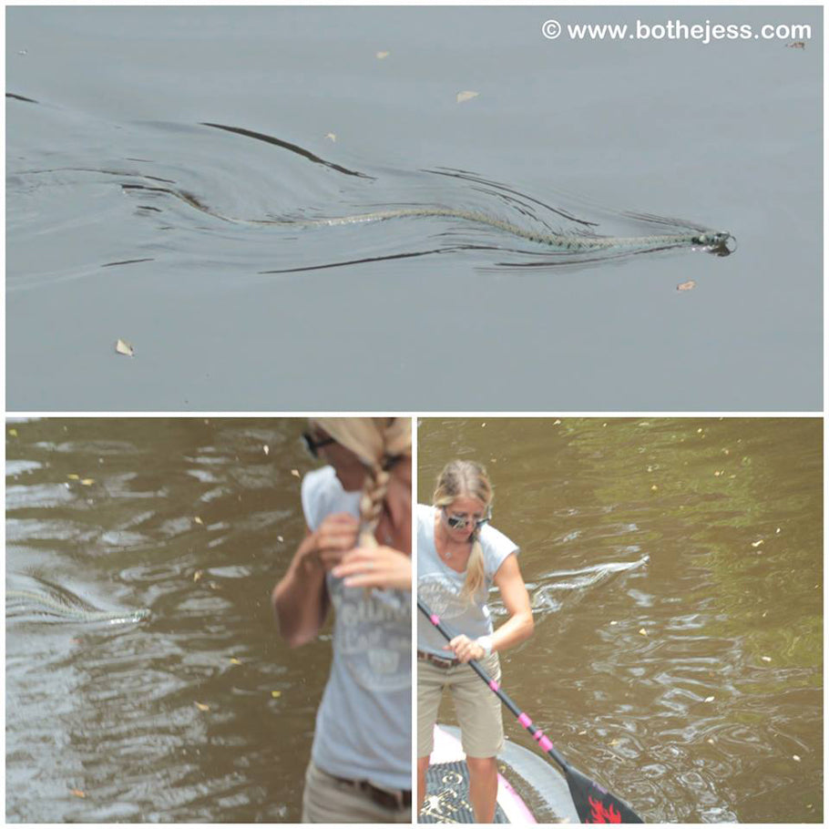 PHOTO : Jess and the snake !!!