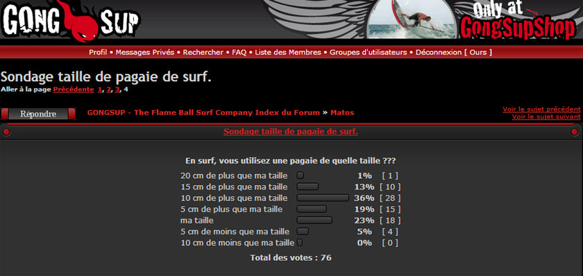 FORUM : sondage tailles de pagaies !!!