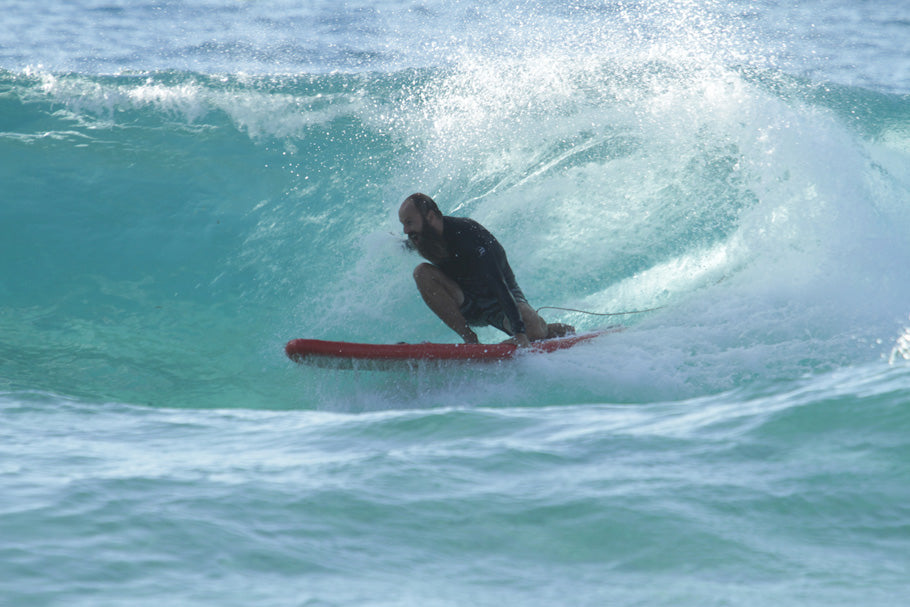 PHOTO : l'Ours en Inflatable surfboard !!!