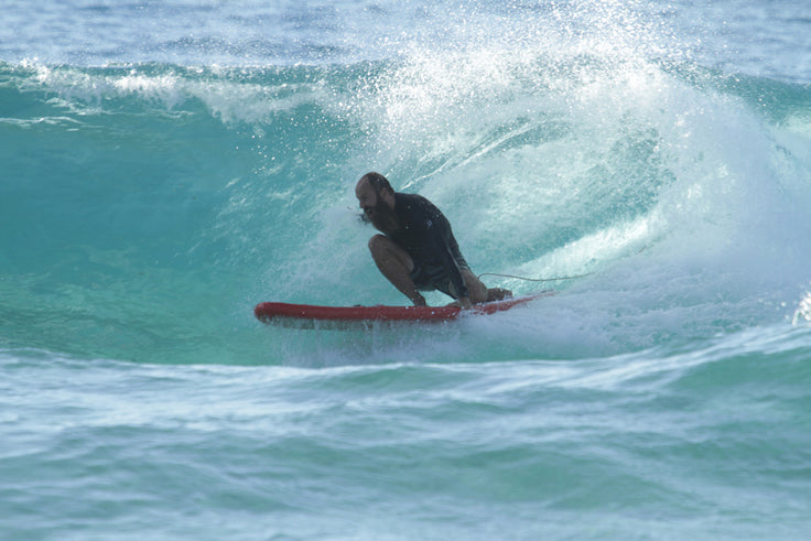PHOTO : l'Ours en Inflatable surfboard !!!