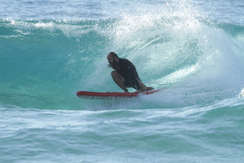 PHOTO : l'Ours en Inflatable surfboard !!!