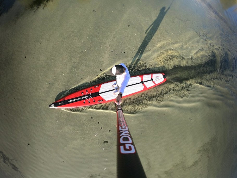 PHOTO : Pollen training !!!