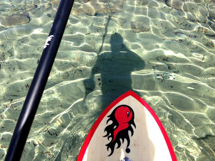PHOTO : Ralf cruising !!!