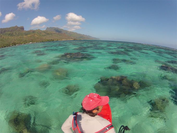 PHOTOS : Jujumoorea !!!