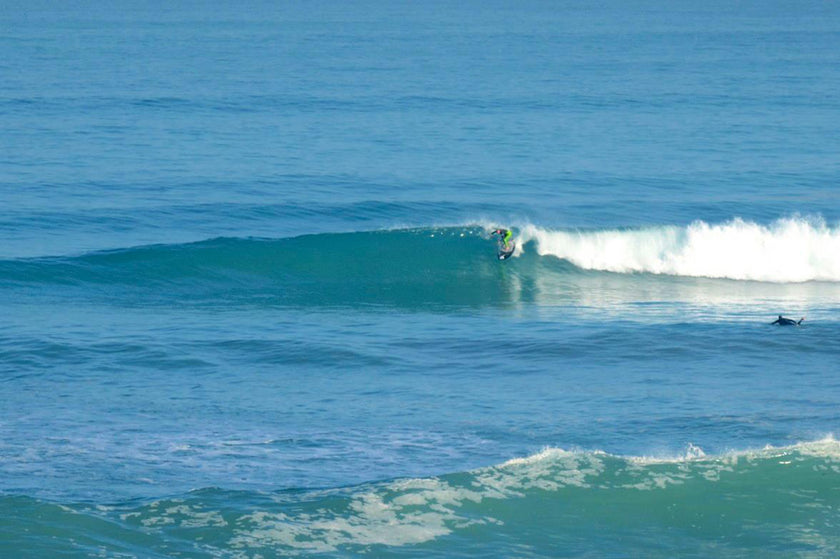 PHOTOS : Roro à la plage !!!